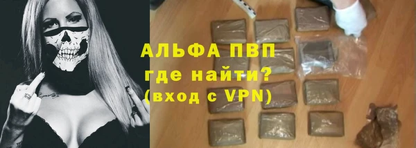 хмурый Алексин