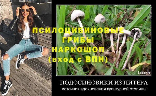 хмурый Алексин