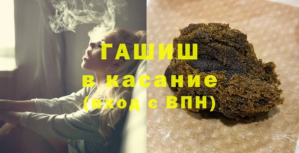 хмурый Алексин