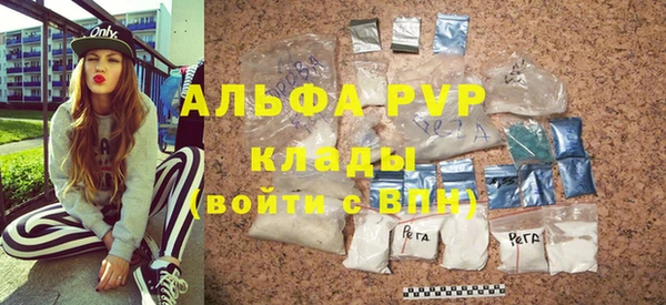 хмурый Алексин