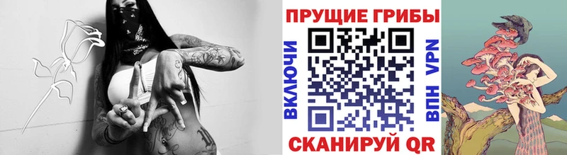 Псилоцибиновые грибы ЛСД Харовск